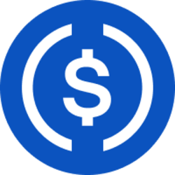 USD Coin logo
